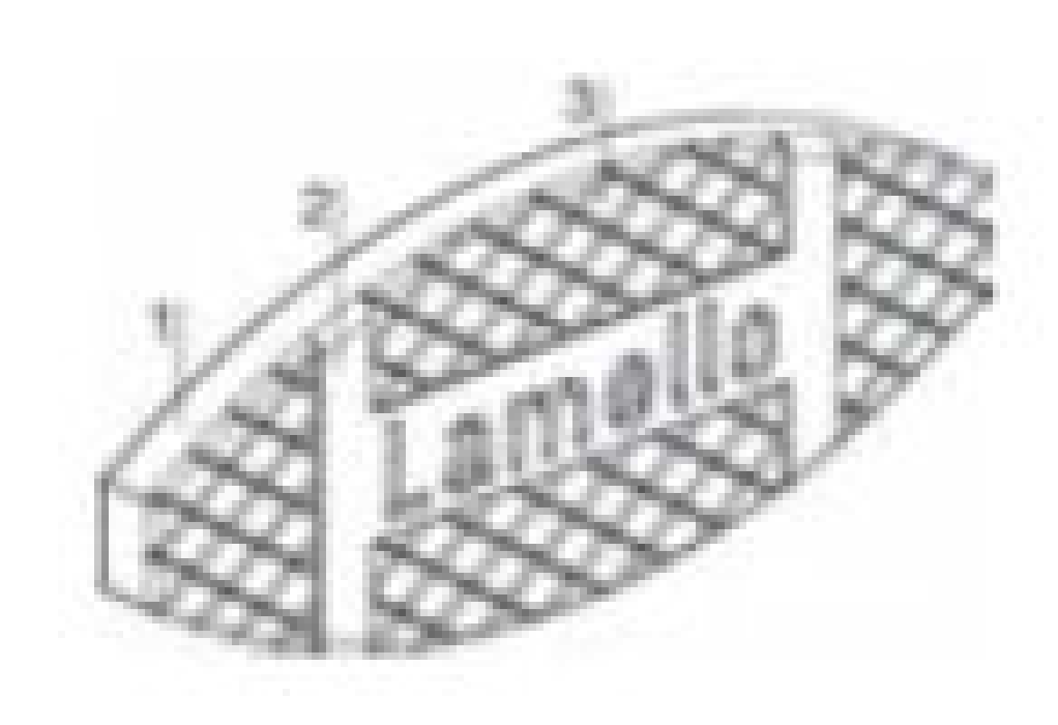 Verbinderplättchen Lamello 53 x 19